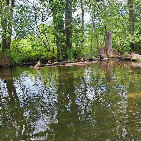 公寓 Nowe Mazury *